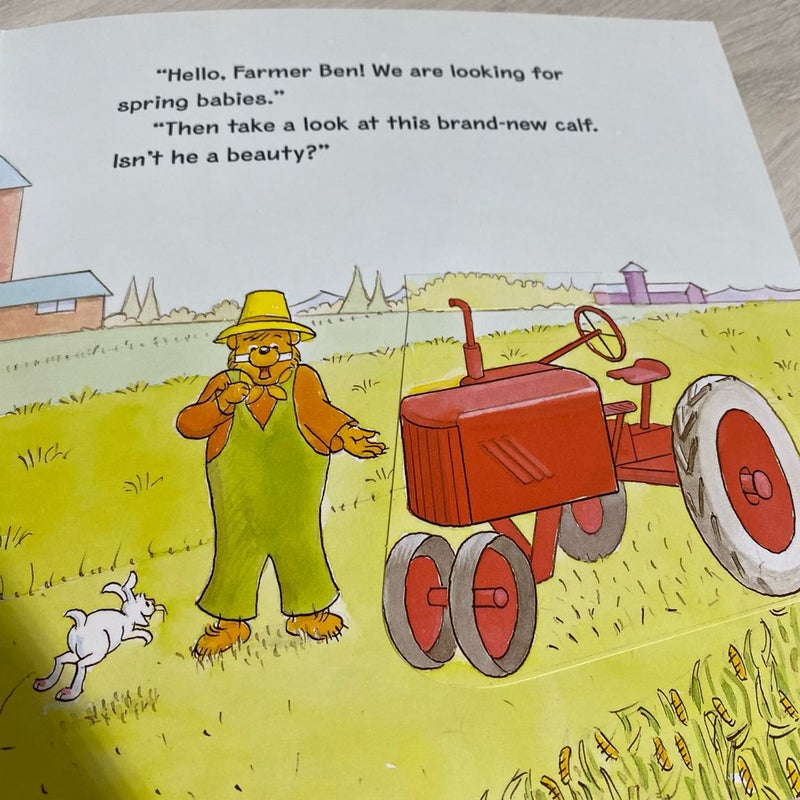 Lift and Flap the Berenstain Bears' Baby Easter Bunny