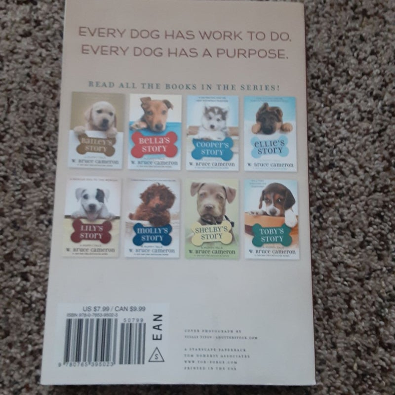 Max's Story