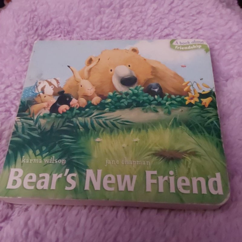 Bear's New Friend