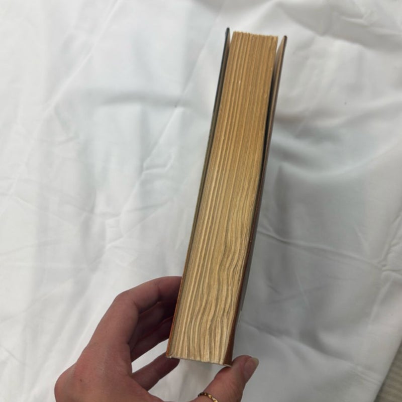 The Book of Speculation