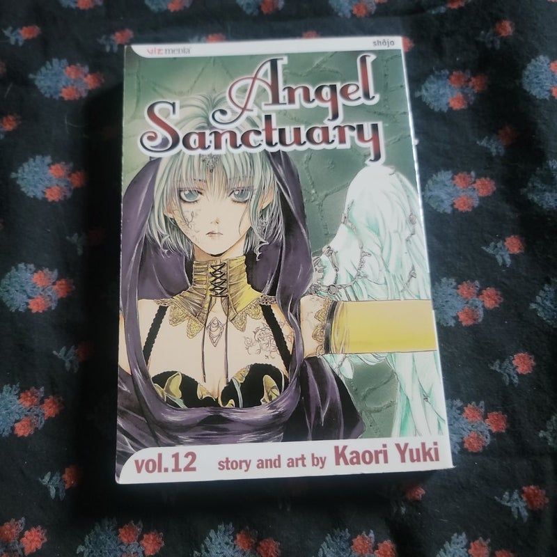 Angel Sanctuary, Vol. 12