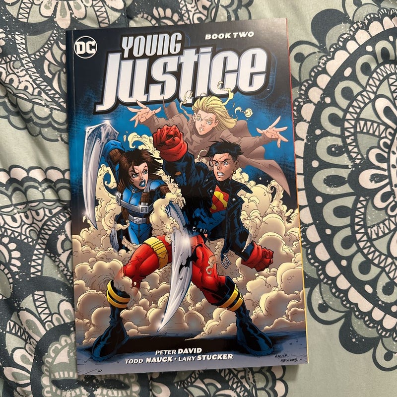 Young Justice Book Two