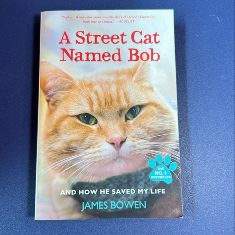 A Street Cat Named Bob