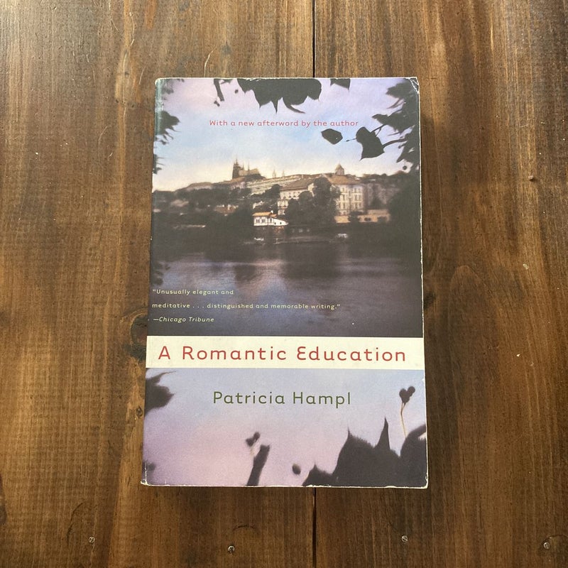 Romantic Education