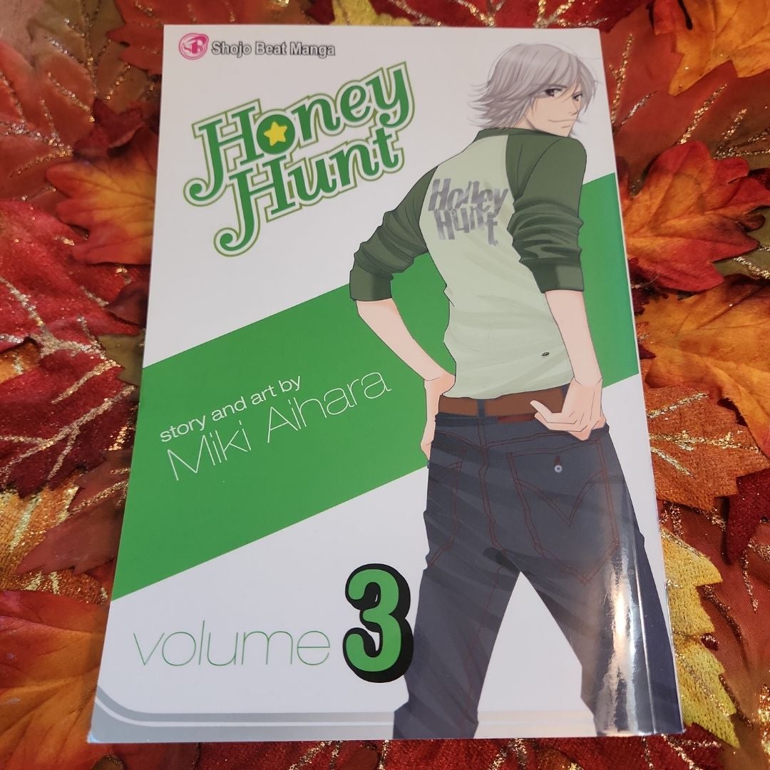 Honey Hunt, Vol. 3