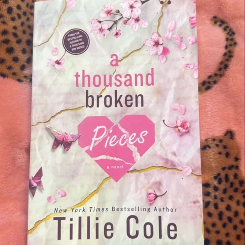 A Thousand Broken Pieces