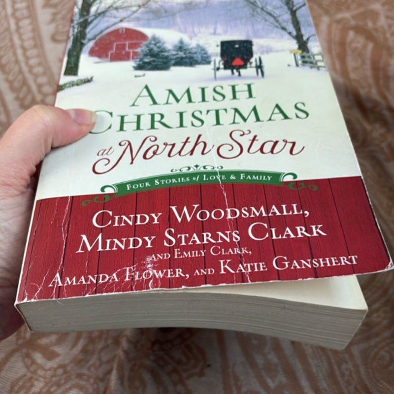 Amish Christmas at North Star