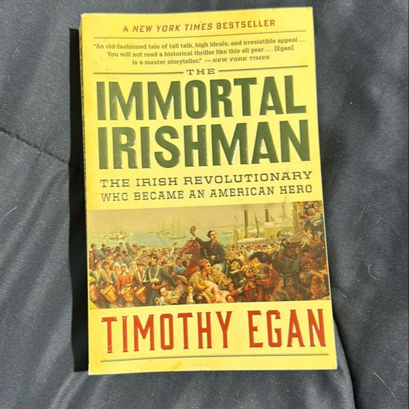 The Immortal Irishman