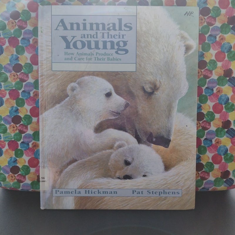 Animals and Their Young