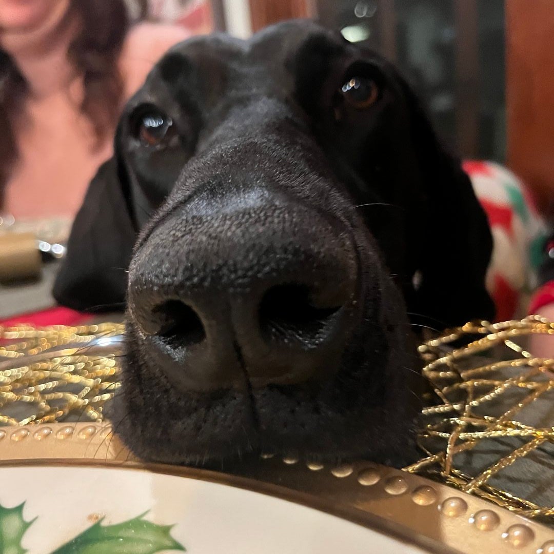 Woof Books