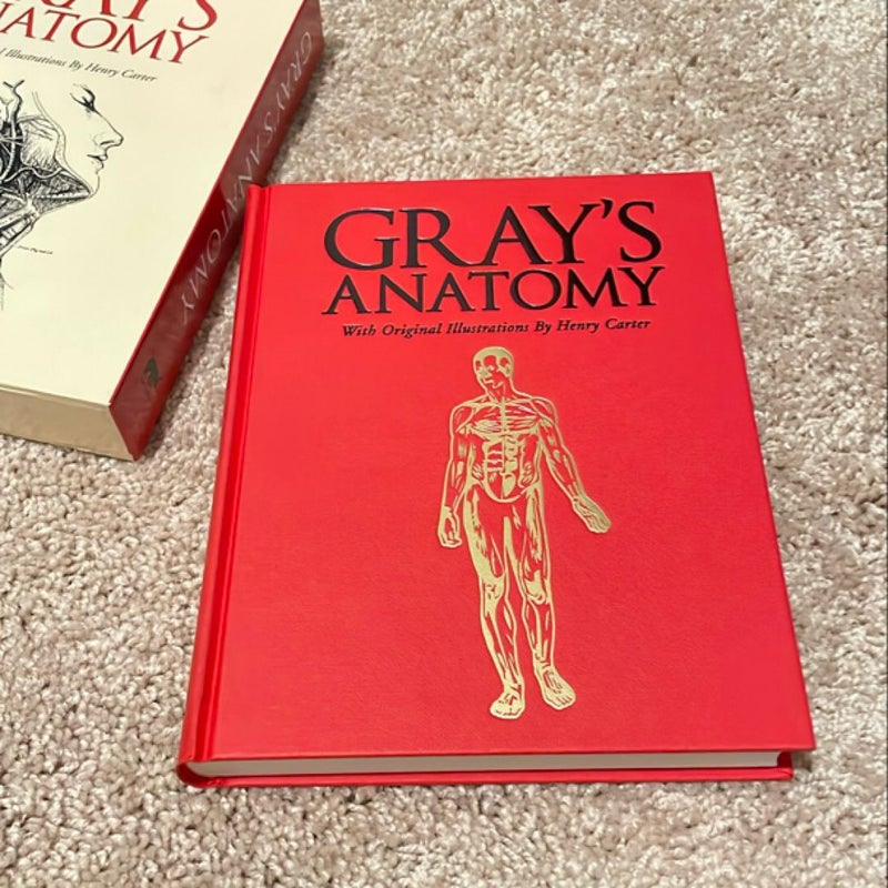 Gray's Anatomy