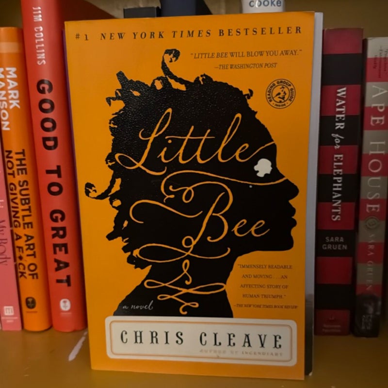 Little Bee