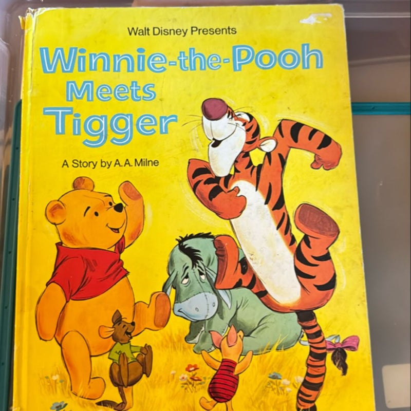 Winnie The Pooh Meets Tigger