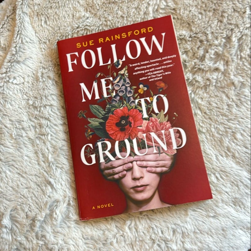 Follow Me to Ground