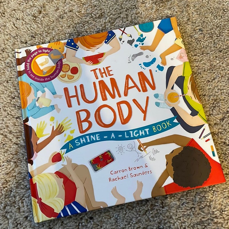 The Human Body