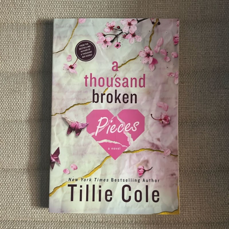 A Thousand Broken Pieces