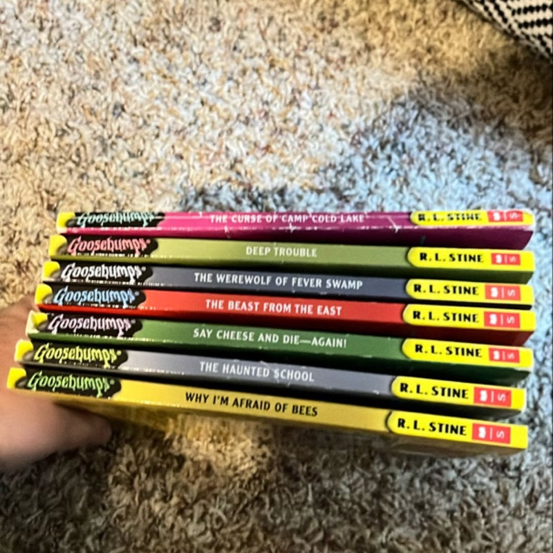 Goosebumps Book Lot