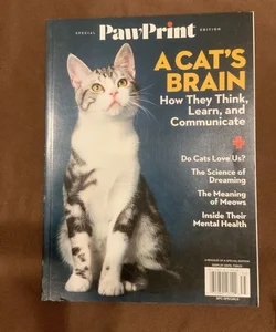 Special Paw Print Edition: A Cat’s Brain