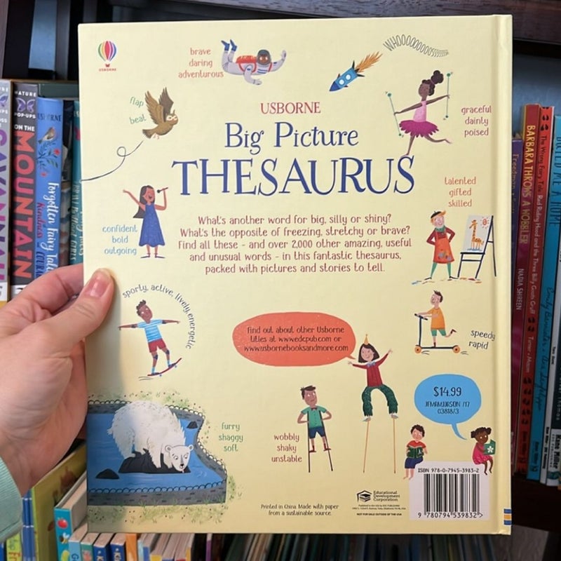 Big Picture Thesaurus IR