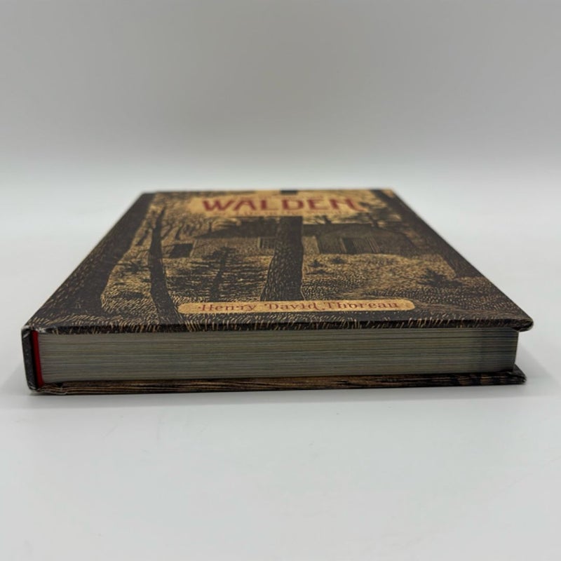 The Illustrated Walden or, Life in the Woods