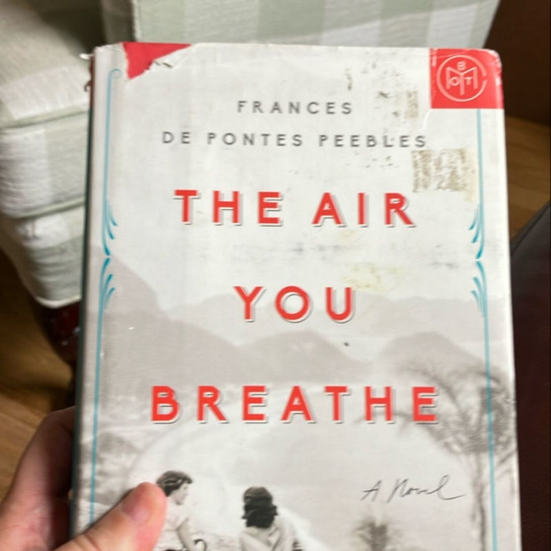 The Air You Breathe