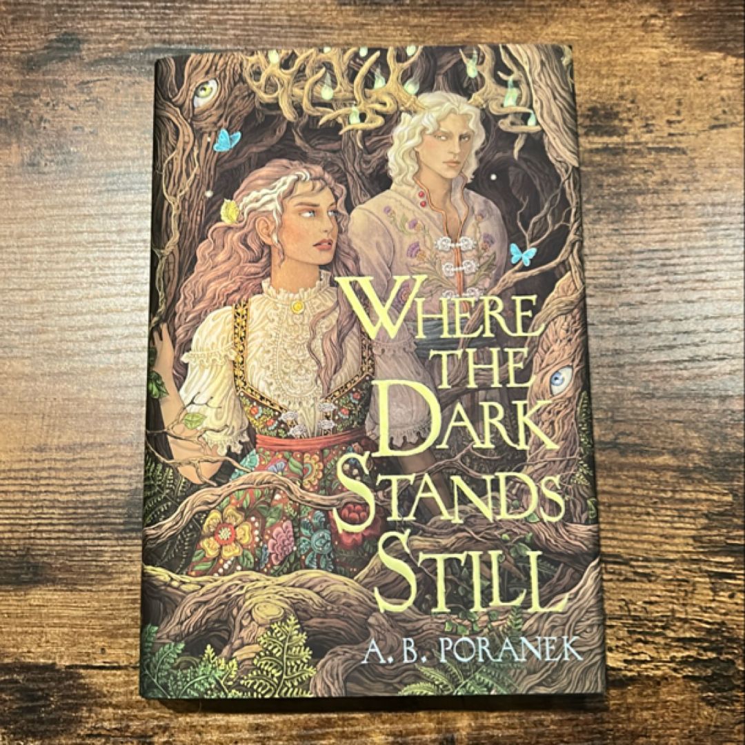 Where the Dark Stands Still