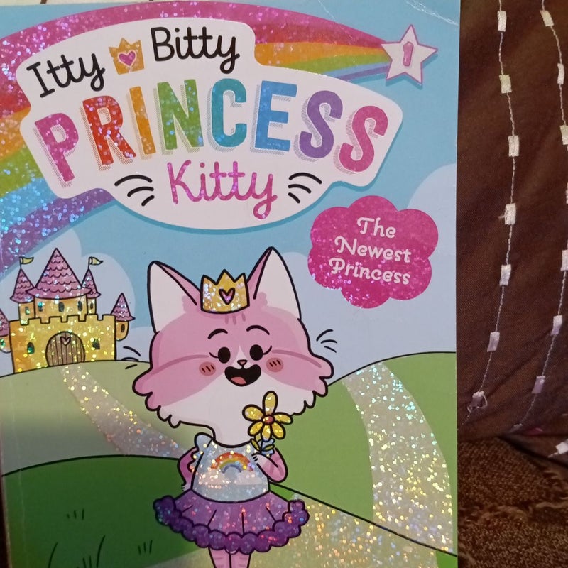Itty Bitty Princess Kitty