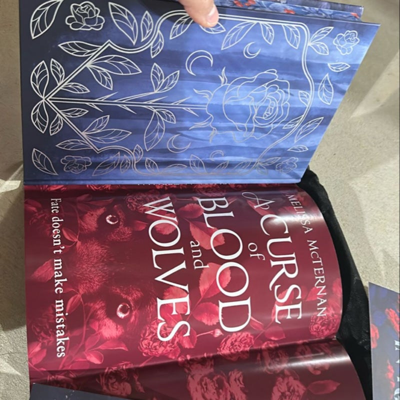 A Curse of Blood and Wolves (Wolf Brothers, Book 1) Fairyloot Edition