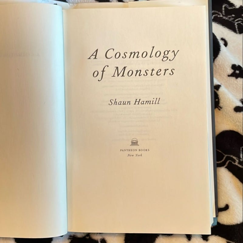 A Cosmology of Monsters