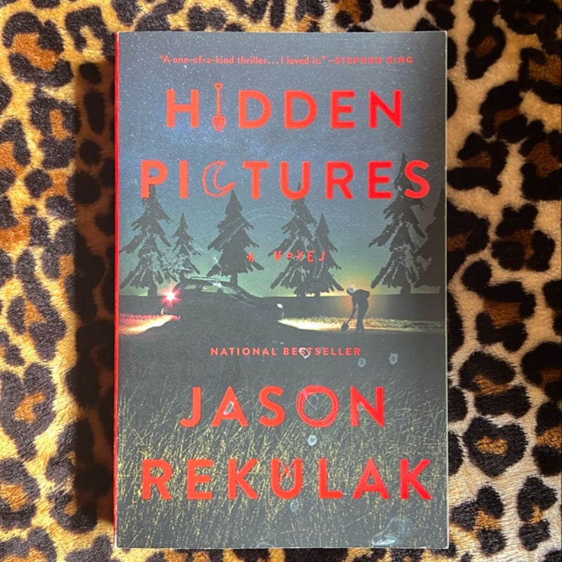 Hidden Pictures by Jason Rekulak, Paperback | Pangobooks