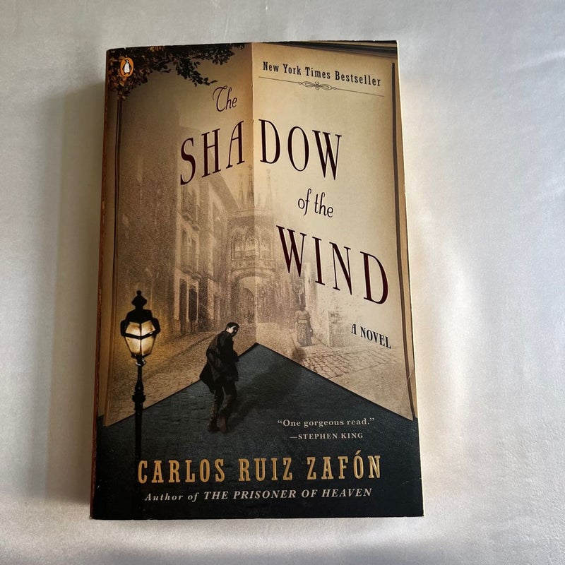The Shadow of the Wind