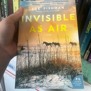 Invisible As Air