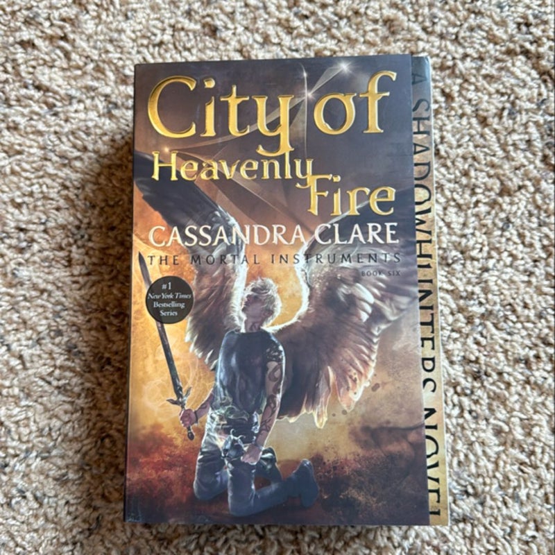 City of Heavenly Fire