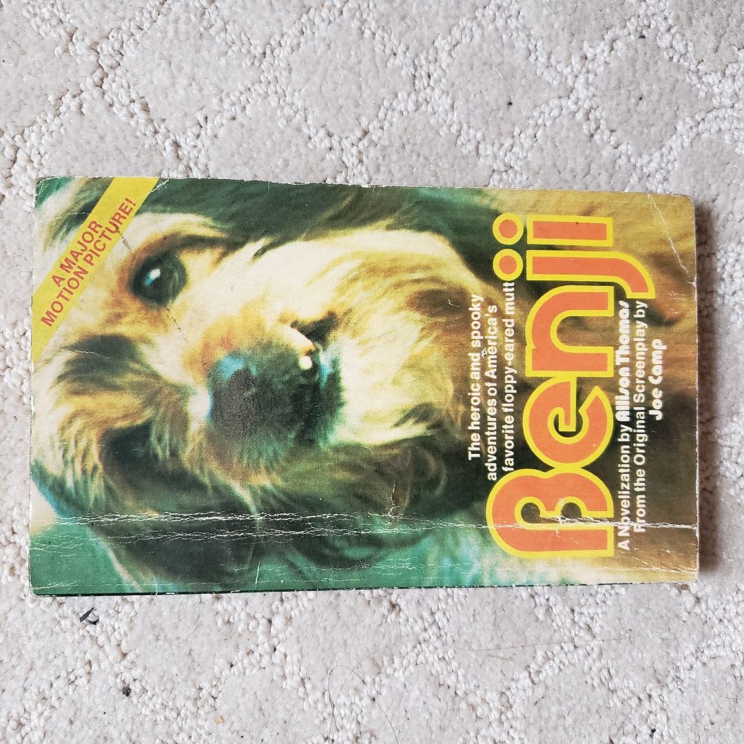 Benji by Alison Thomas - Pricing Data