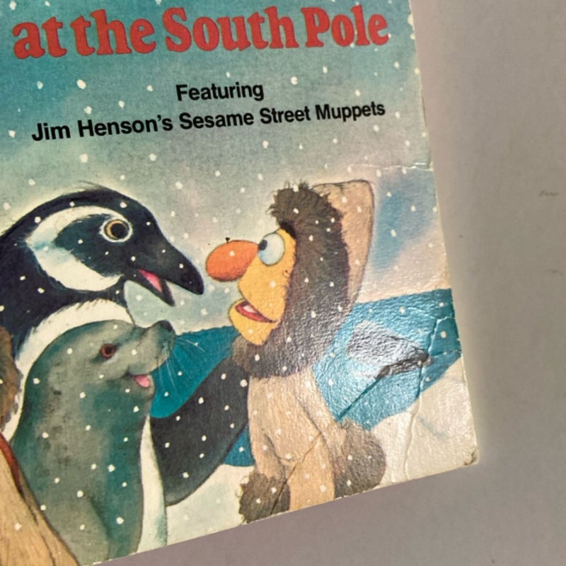 The Adventures of Ernie and Bert at the South Pole