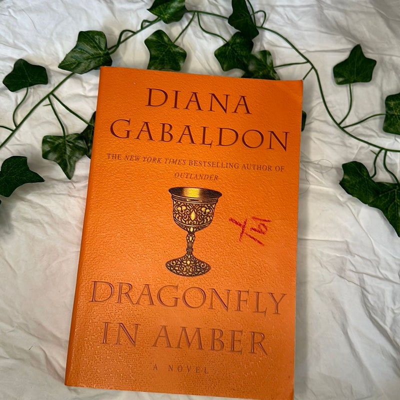 Dragonfly in Amber