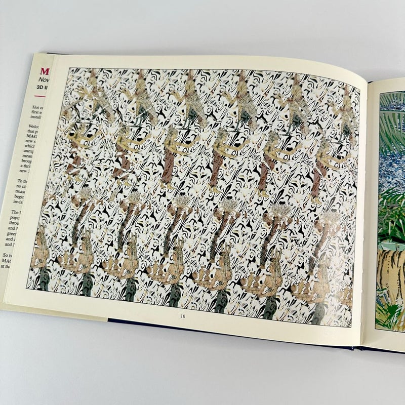 Magic Eye II