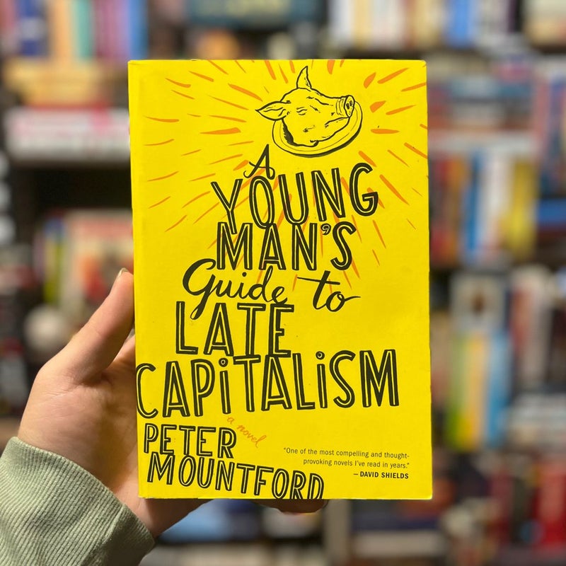 A Young Man's Guide to Late Capitalism