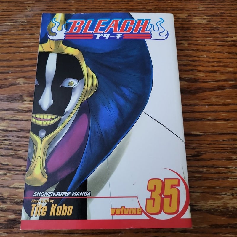 Bleach, Vol. 35