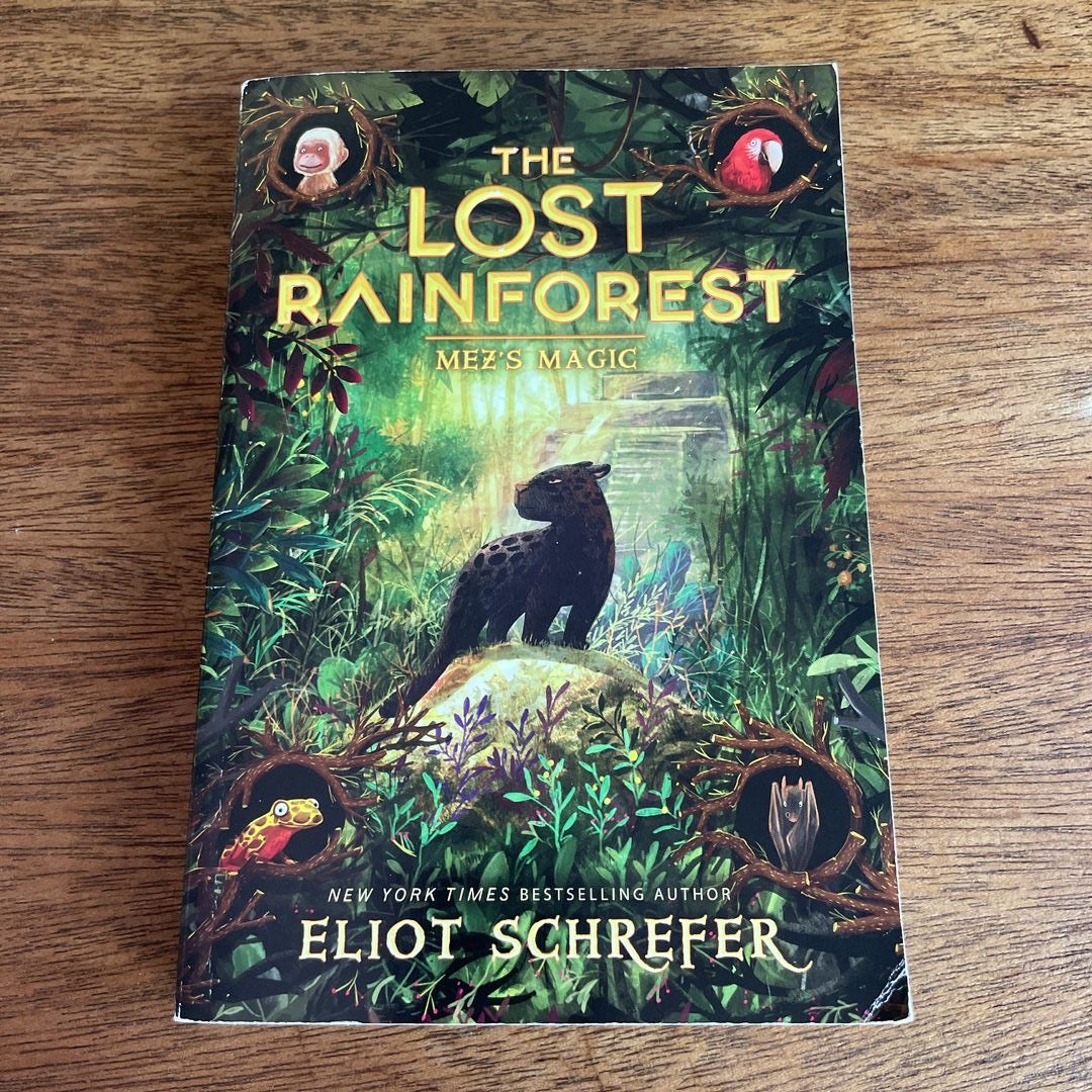 The Lost Rainforest #1: Mez's Magic