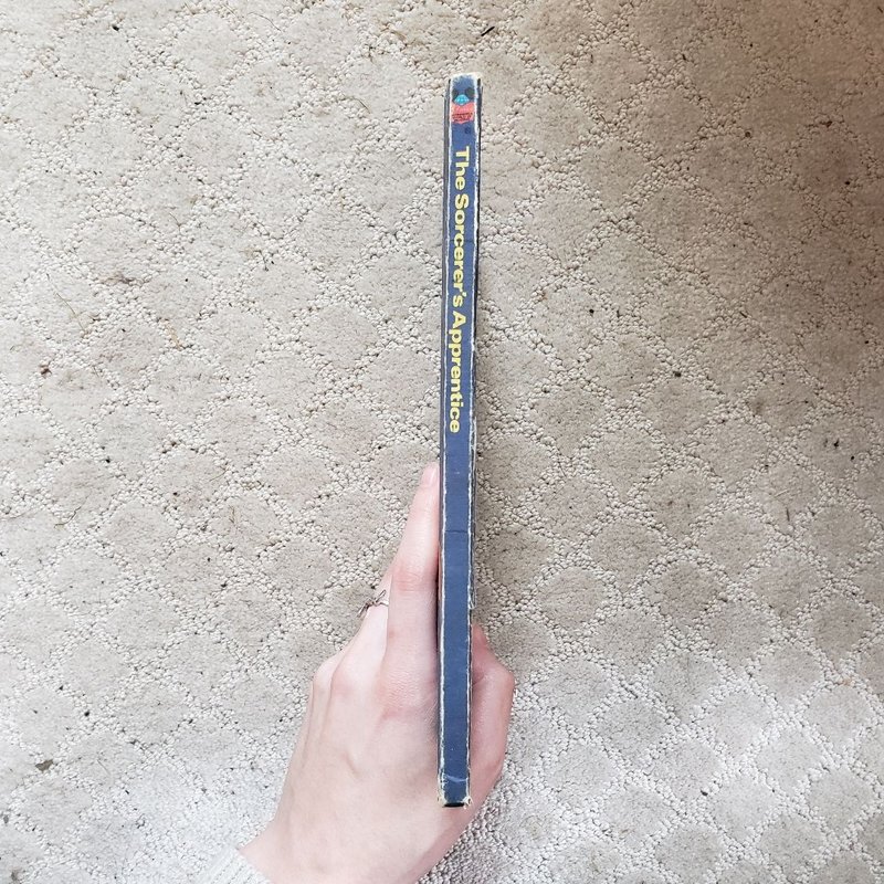 The Sorcerer's Apprentice