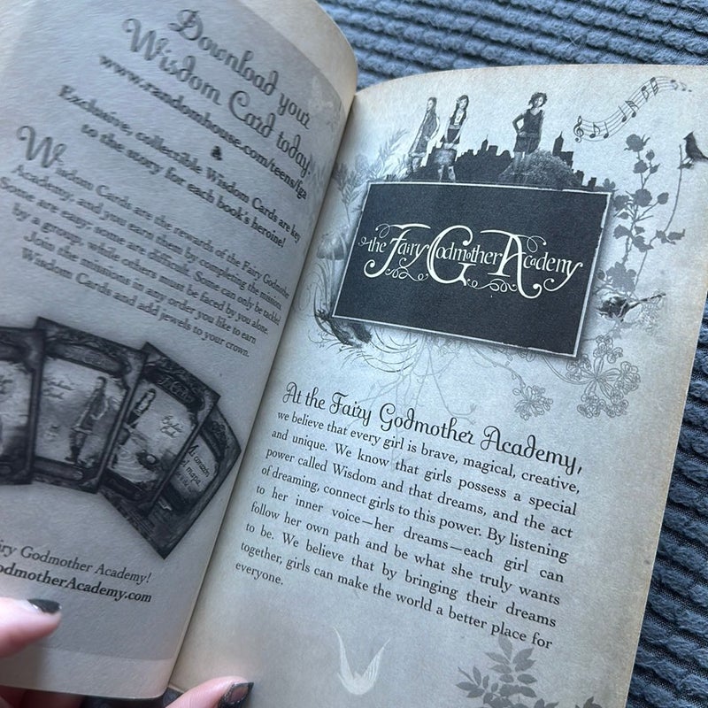 The Fairy Godmother Academy #3: Zally's Book