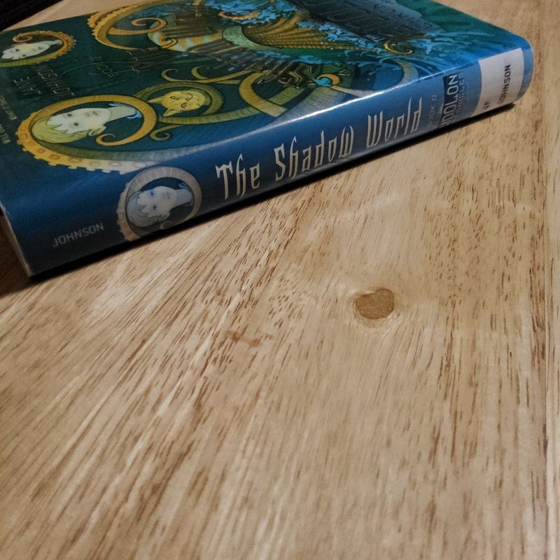 The Shadow World