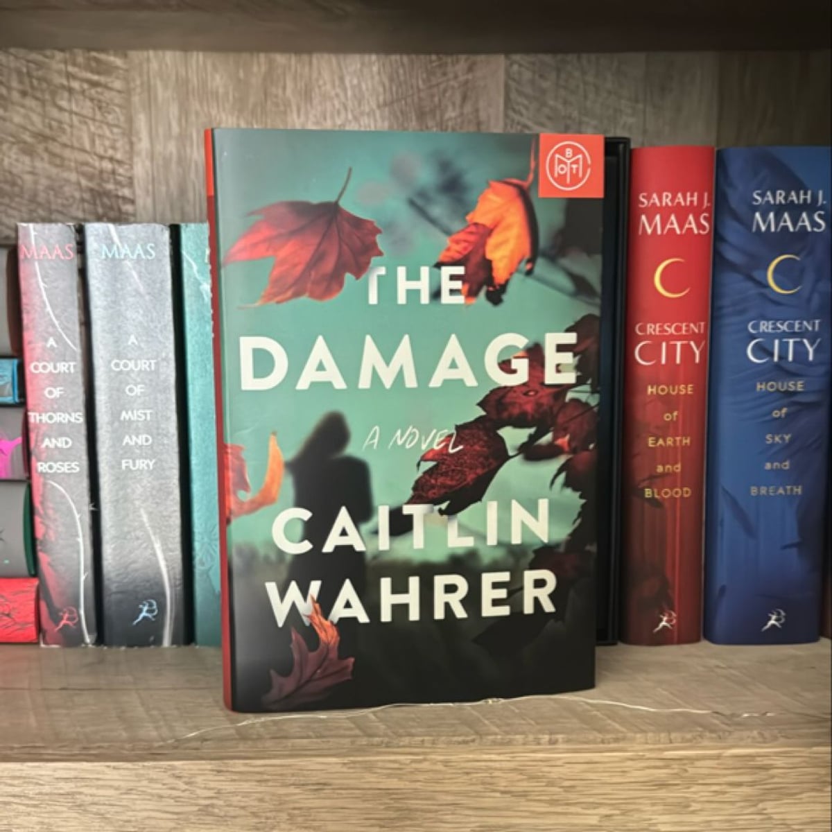 The Damage by Caitlin Wahrer