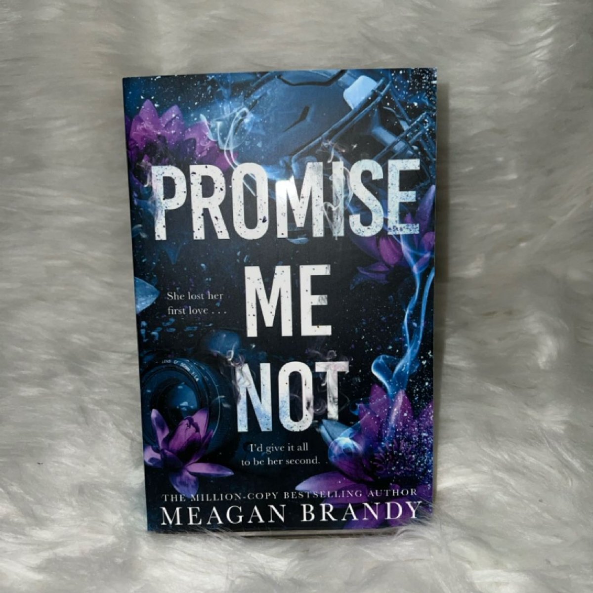 Promise Me Not by Meagan Brandy
