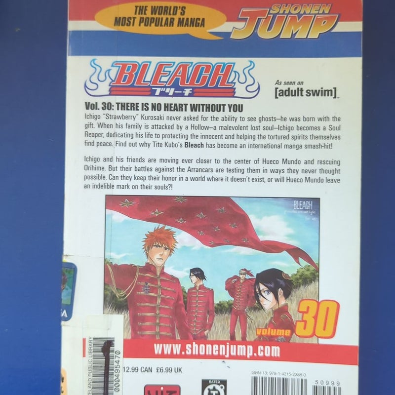 Bleach, Vol. 30