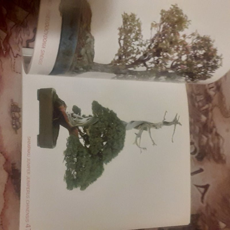 Bonsai Today's Pocket Bonsai Gallery