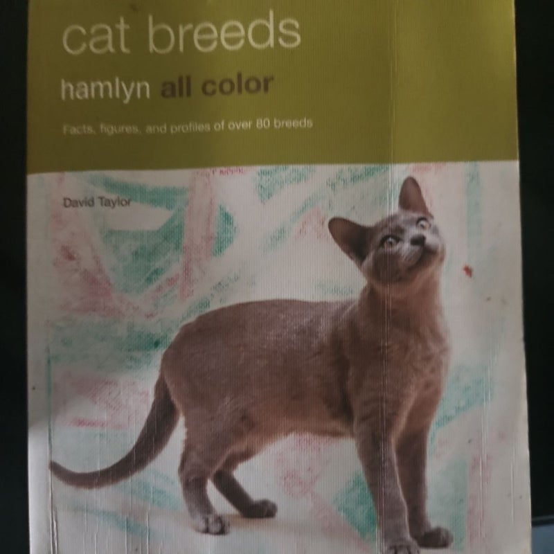 Cat Breeds