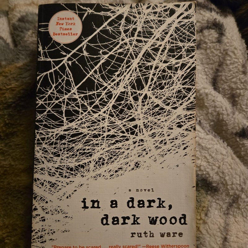 In a Dark, Dark Wood