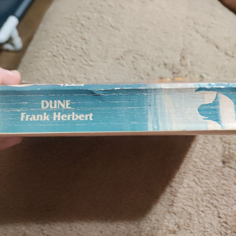 Dune